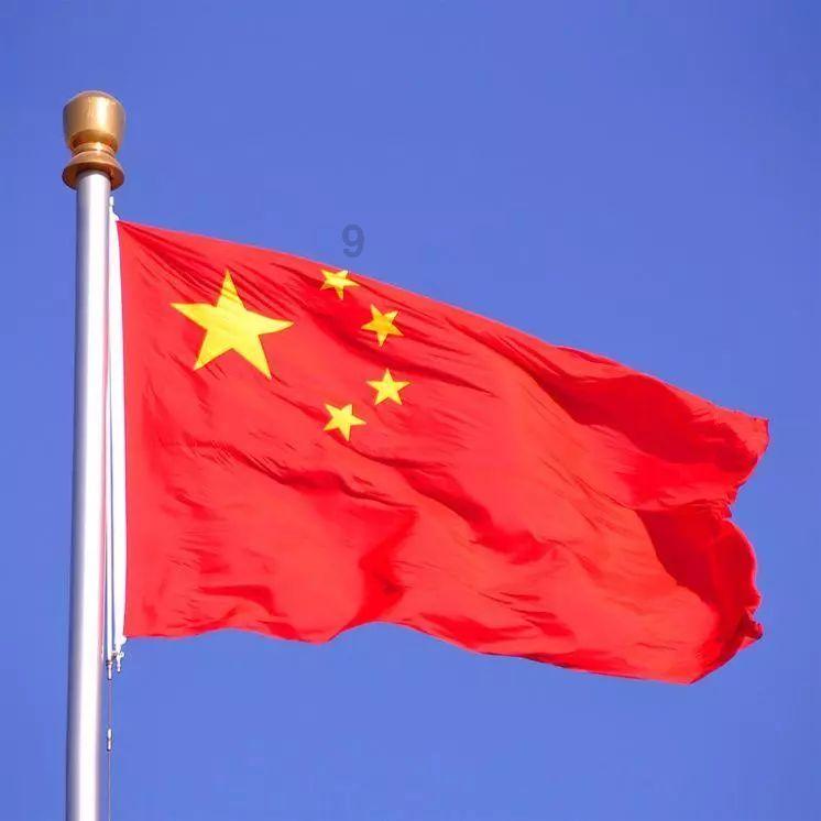 植物大战僵尸12